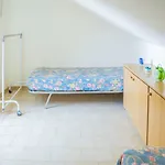 089 - Casa Cascata, Vista Mare, 400 Metri Dalla Spiaggia